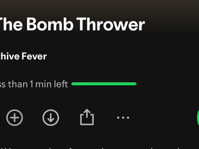 “The bomb thrower”